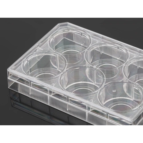 6 Well Glass Bottom Cell Culture Plates China Manufacturers Suppliers